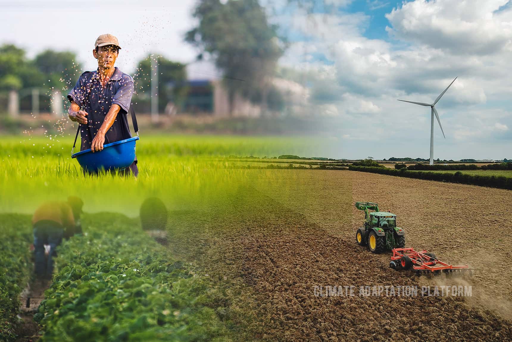 Climate Change Adaptation Options In Food Production