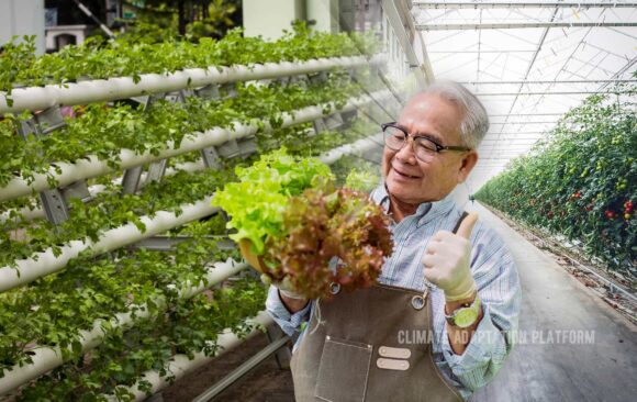 Climate adaptation platform Vertical Indoor Farming can help farmers adapt to climate change