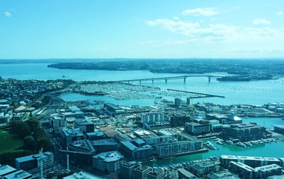 climate adaptation auckland sponge city