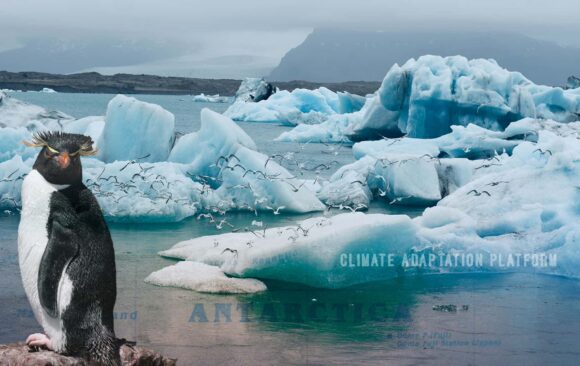 Climate adaptation Marine Heatwave accelerating in the Antarctic