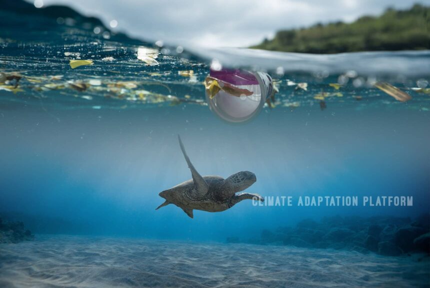 Climate Adaptation Ocean Acidification, threat to Marine Life and Livelihoods
