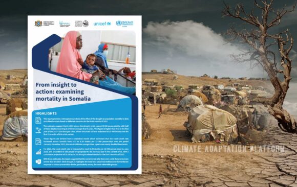 Climate adaptation Somalia's Intense Drought Claimed 43,000 excess deaths, a new UN report find