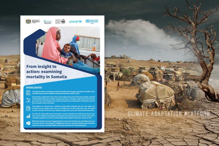 Climate adaptation Somalia's Intense Drought Claimed 43,000 excess deaths, a new UN report find