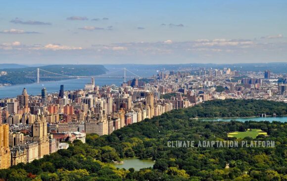 Climate adaptation Cities Should Take Advantage of the ability of Trees and Green Spaces Ability to Combat Climate Change Effects