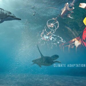 Climate adaptation Ocean’s AMOC overturns more rapidly than previously thought – up to “sixfold a year”