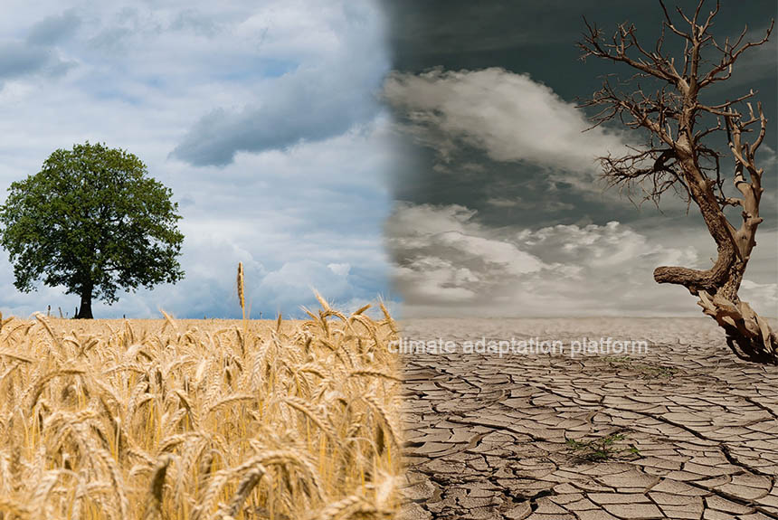 How Simultaneous Crop Failures Threaten Global Food Security