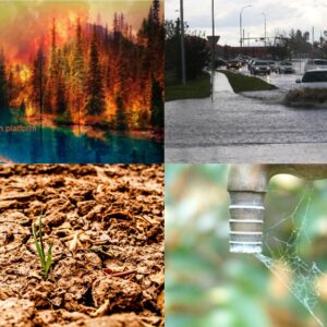 climate adaptation extreme weather events intense