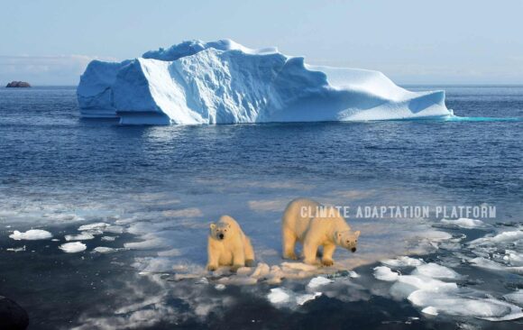 climate adaptation Scientists Predict that the Arctic will lose all its sea ice as early as 2030s