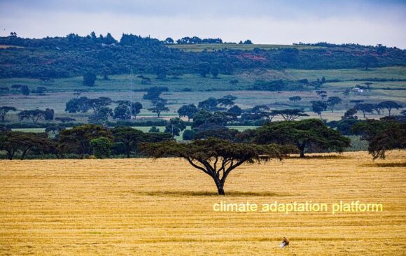 Kenya’s Geothermal Power a Path Towards Cleaner Energy Future