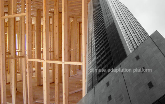 Timber Buildings’s Resurgence and Climate Adaptation Benefits