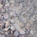 NZ Start-Up Harnesses Olivine Rocks for Carbon Removal