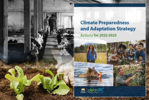 British Colombia Unveils Comprehensive Climate Adaptation Plan ...