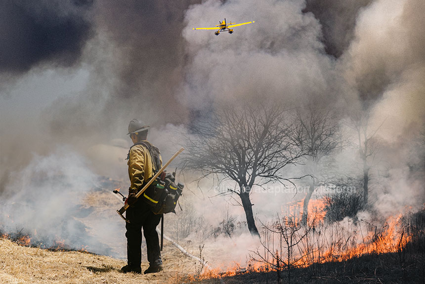 Are There Climate Adaptation Plans To Reduce Rising Forest Fires?