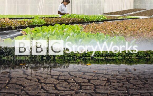 BBC Series Tells Climate Adaptation Stories Around the World