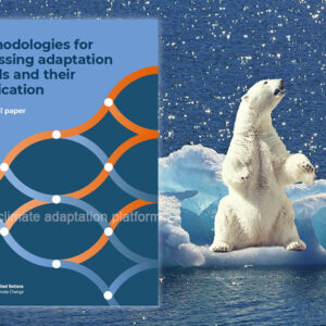 UNFCCC Releases Technical Paper on Assessing Climate Adaptation Needs