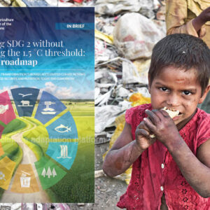 Roadmap Highlights Zero-Hunger Climate Adaptation Strategies