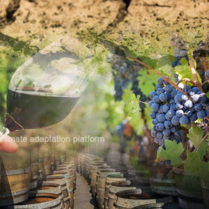 Climate Change Impacts on Global Wine Production