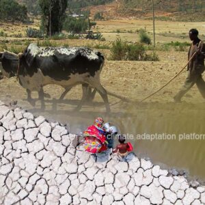 Valuing Water in the Global Commons Helps Ethiopia’s Resilience