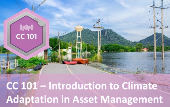 climate adaptation in asset management course nz