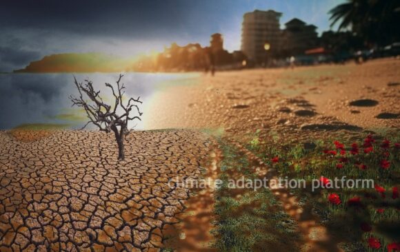 climate adaptation record-breaking temperature