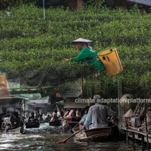 ADB Program Helps Boost Thailand’s Climate Resilience