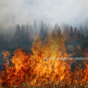 California’s Park Fire Fifth Largest in State History