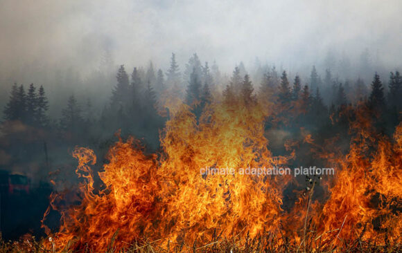 California’s Park Fire Fifth Largest in State History