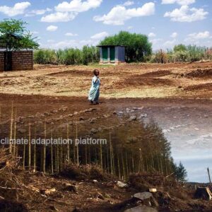 Climate Change Mitigation thru Land & Forest Restoration in Kenya