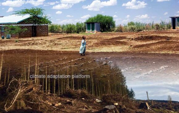 Climate Change Mitigation thru Land & Forest Restoration in Kenya