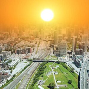 How Cities Worldwide Respond to the 2024 Hottest Temperatures