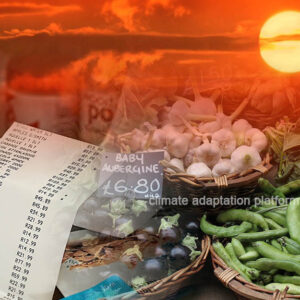 Climate Change Fuels Food Inflation, Higher Cost Predicted