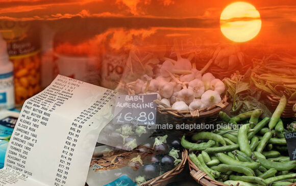 Climate Change Fuels Food Inflation, Higher Cost Predicted