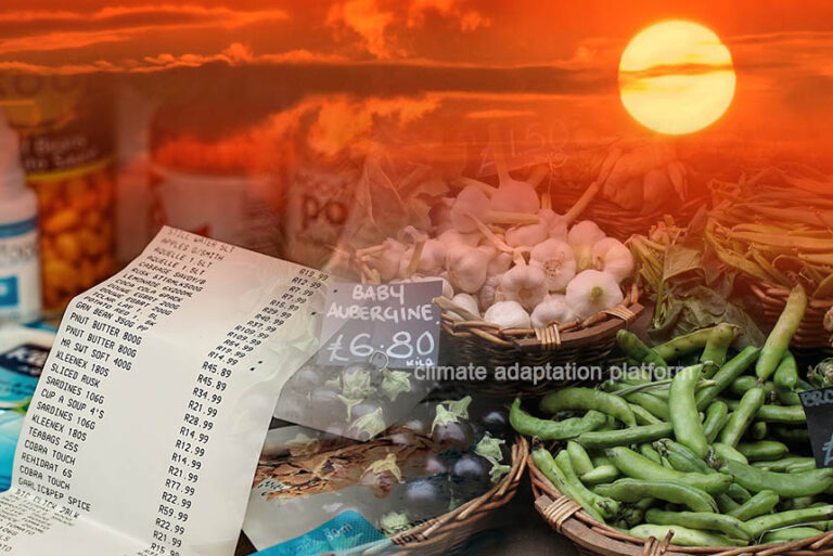 Climate Change Fuels Food Inflation, Higher Cost Predicted - Climate ...