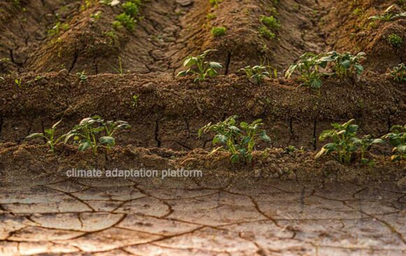 Can Global Food Production Cope With Growing Water Scarcity?