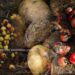 Avoiding Food Waste Can Help Combat Climate Change