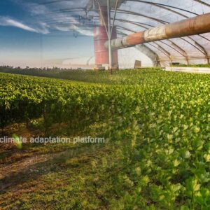 Urban Agriculture Can Resolve Cities’ Climate Change Woes