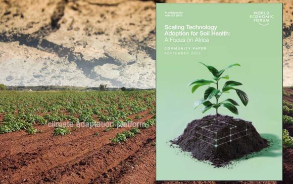 How Healthy Soils Can Boost Yields and Mitigate Climate Change