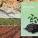 How Healthy Soils Can Boost Yields and Mitigate Climate Change