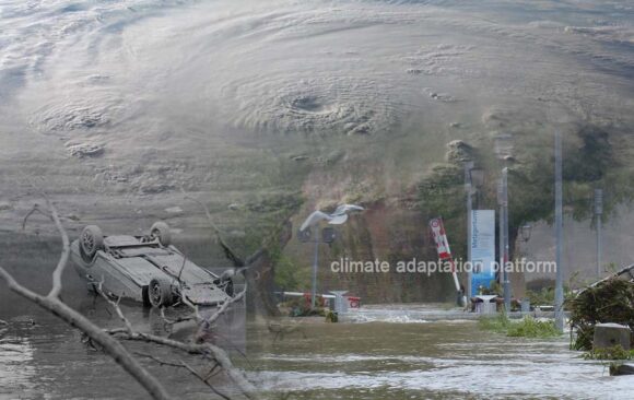 Climate Change Impacts Weather and Insurance Losses in NZ