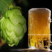 How Climate Change Affects Beer Quality and Adaptation Options