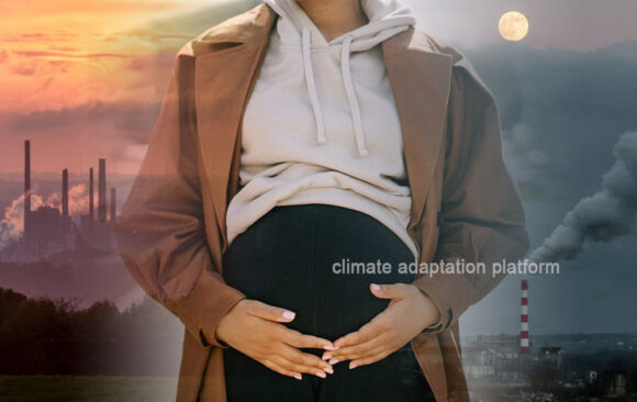 Air Pollution and Heat Linked to Delayed Births