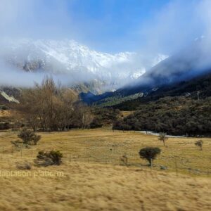 climate adaptation new zealand wetlands