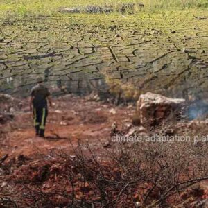 Study Unveils Solutions for Climate Adaptation and Mitigation