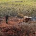 Study Unveils Solutions for Climate Adaptation and Mitigation