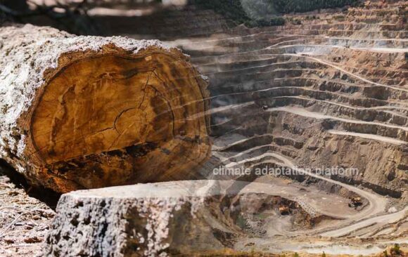 climate adaptation Nature and Financial Crimes How Financial Crime Fuels Climate Change and Biodiversity Loss