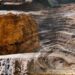 How Financial Crime Fuels Climate Change and Biodiversity Loss