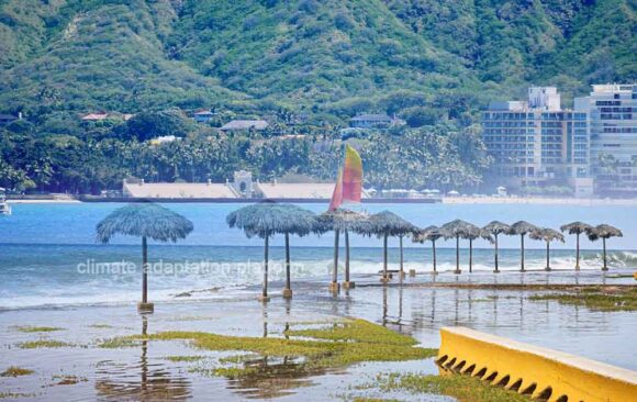 climate adaptation Subsidence in Parts of Hawaii Accelerated Subsidence in Hawaii Escalates Coastal Flood Risks