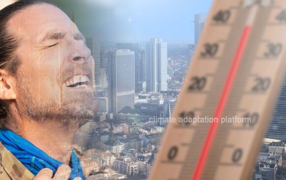 climate adaptation Various Heat Metrics Can Help Leveraging Heat Metrics in City Climate Adaptation Policy-making