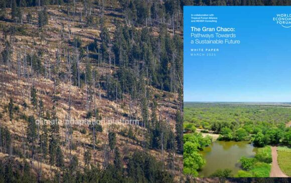 Sustainable Development Report Focuses on Gran Chaco’s Status