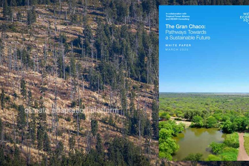 Sustainable Development Report Focuses on Gran Chaco’s Status